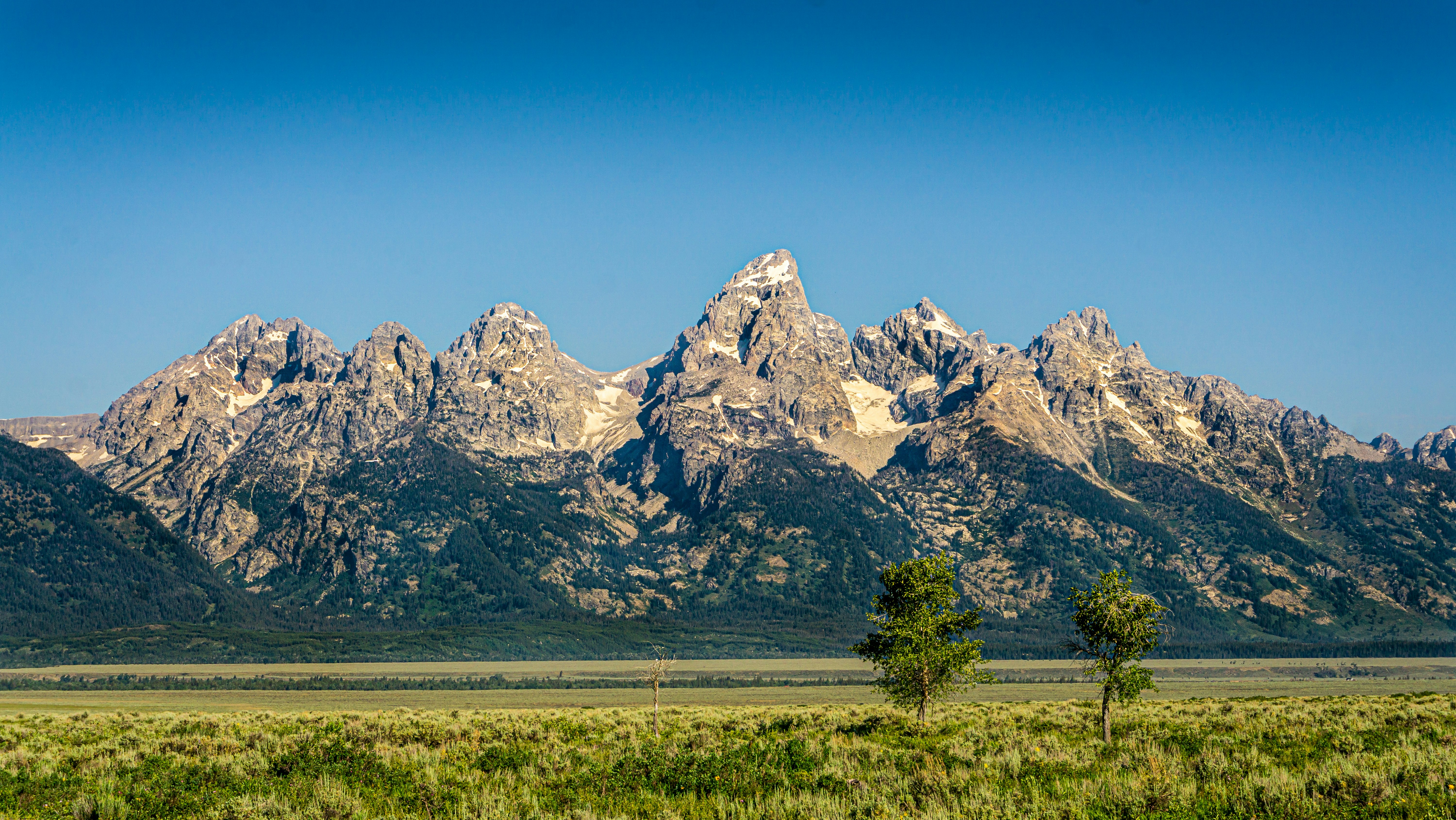 green grass field near snow covered mountain during daytime